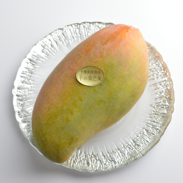 完熟 キンコウマンゴー 金煌 １果 | 千の葉ライチ ストア