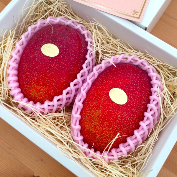 完熟 アップルマンゴー 秀品 2L×2果 | 千の葉ライチ ストア